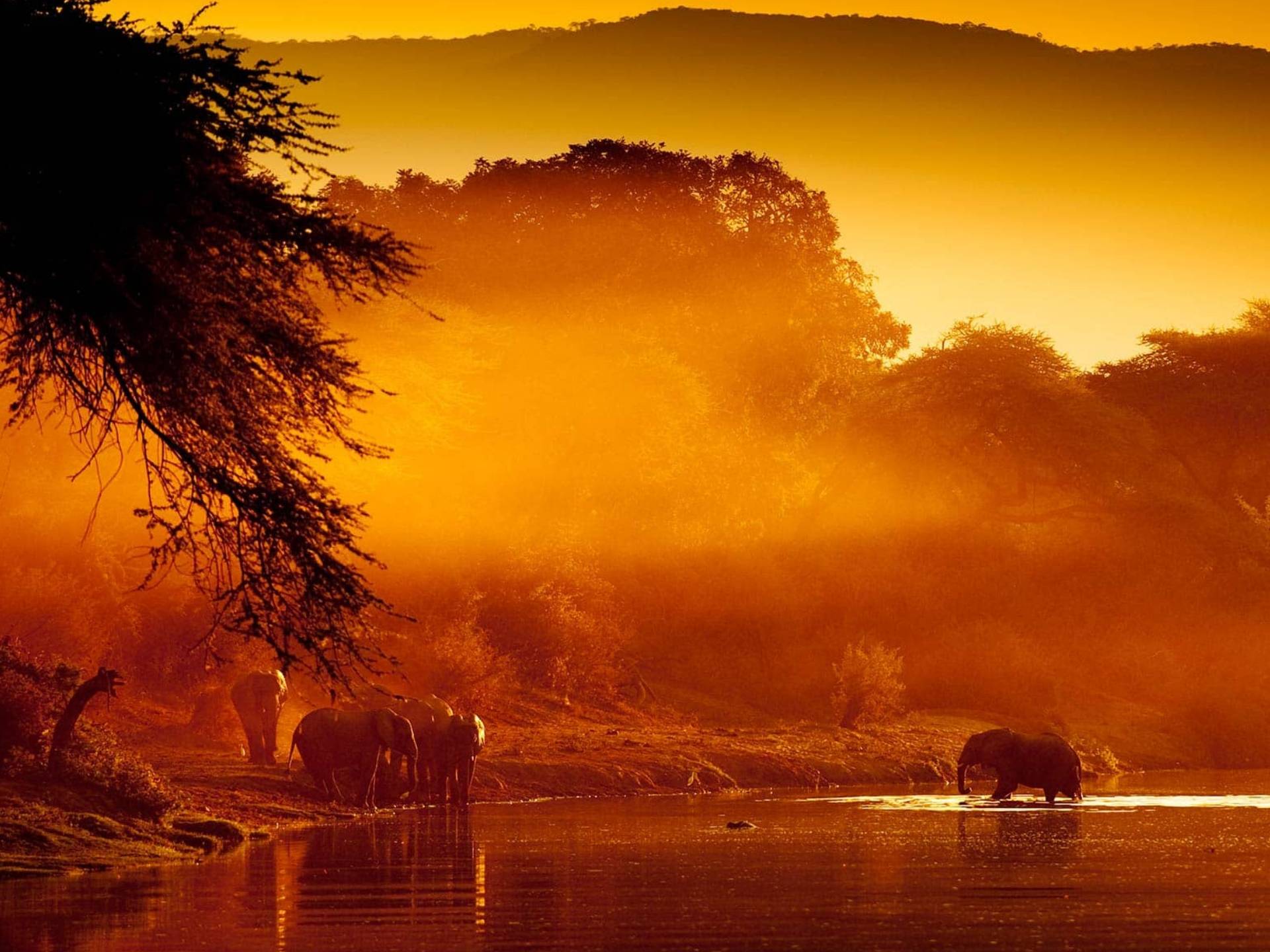 Lower Zambezi National Park