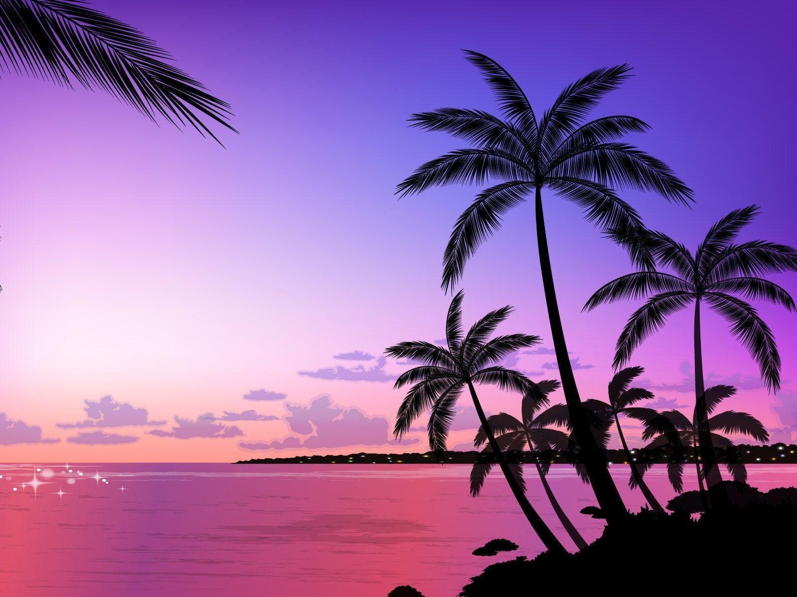 9193 tropical palm tree wallpapers