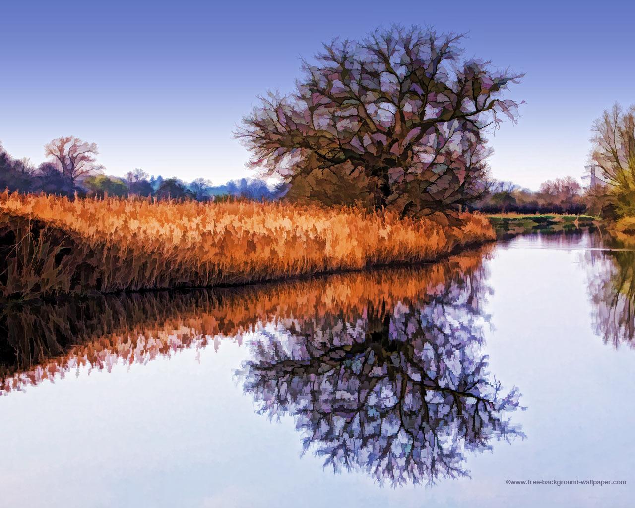 Reeds Oak Tree Riverbank Artistic Backgrounds Wallpapers