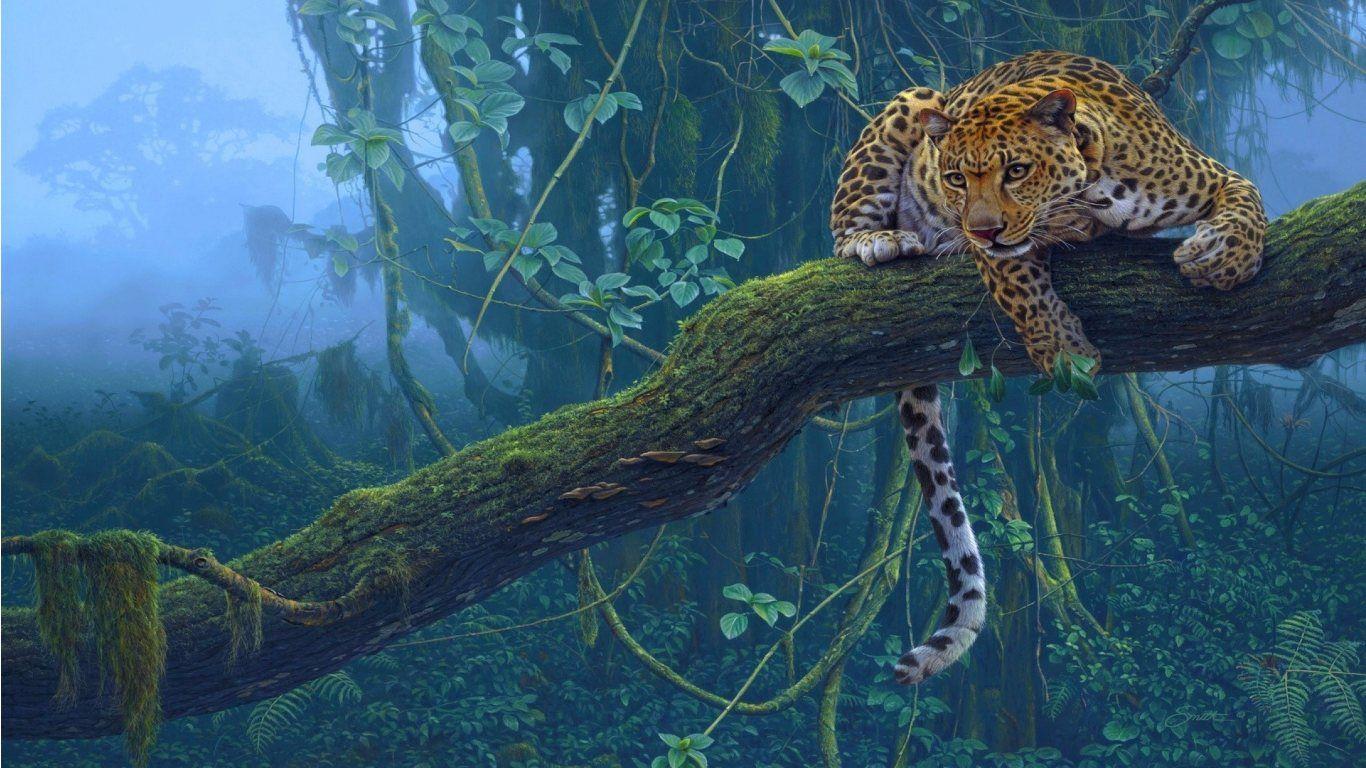 Jaguar Pictures HD Wallpapers