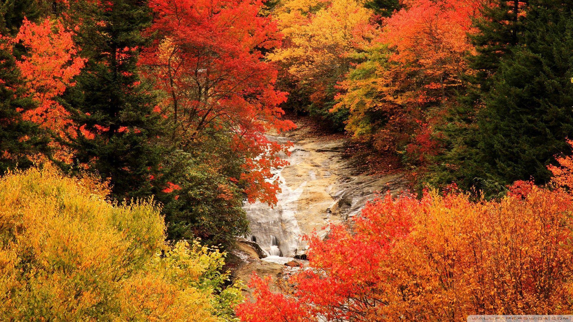 Blue Ridge Parkway, North Carolina, Autumn HD desktop wallpapers