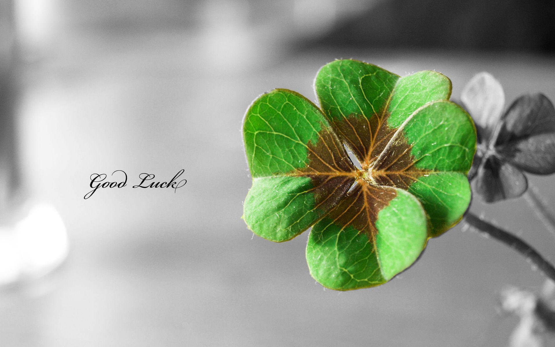 St Patricks Day Wallpapers