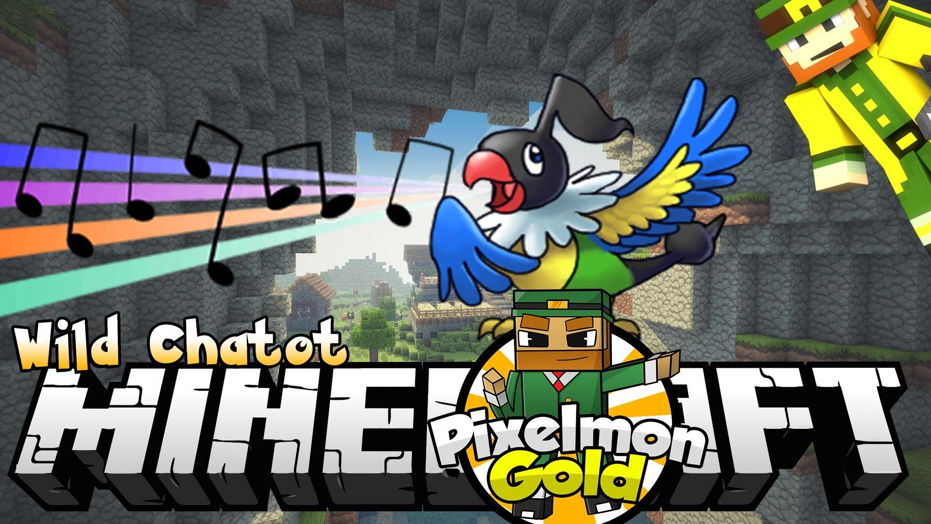 Minecraft Pixelmon Gold ‘Wild Chatot’