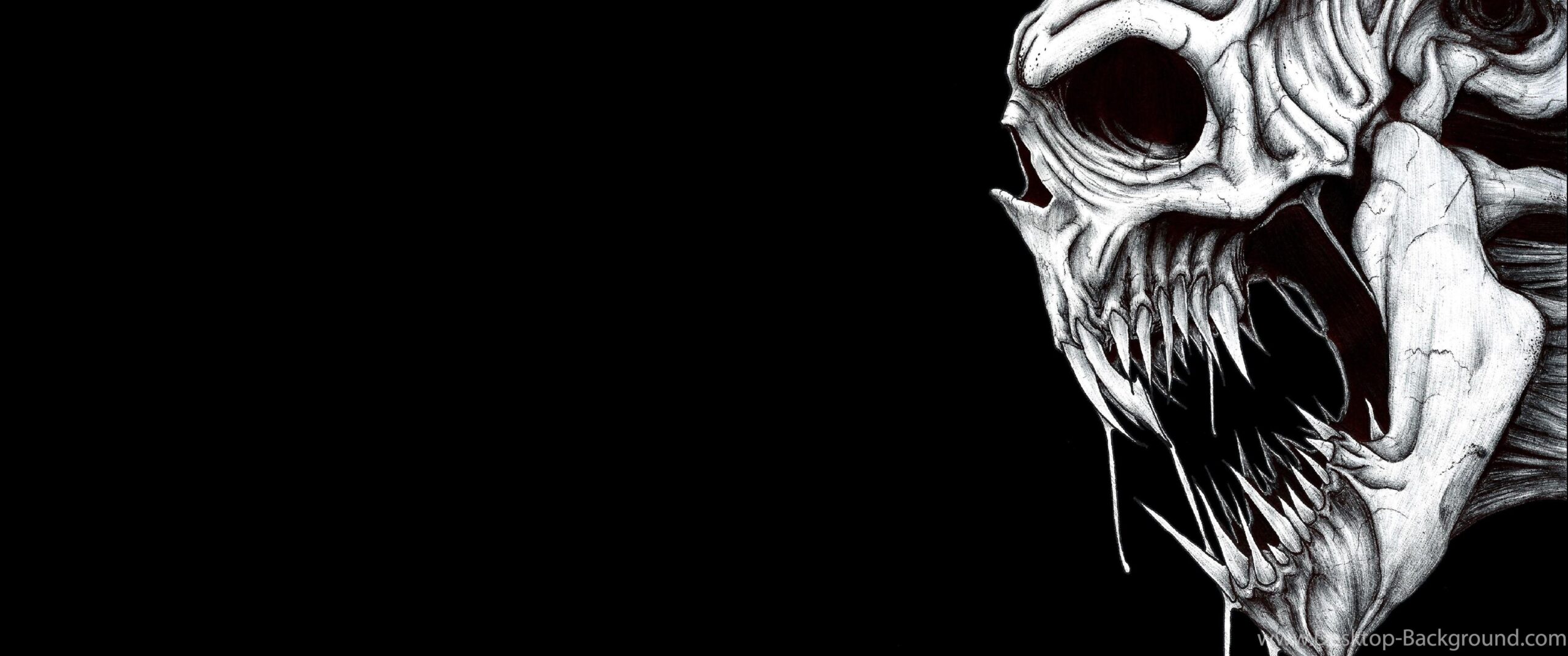 Skull Wallpapers Image 14530 HD Wallpapers Site Desktop Backgrounds