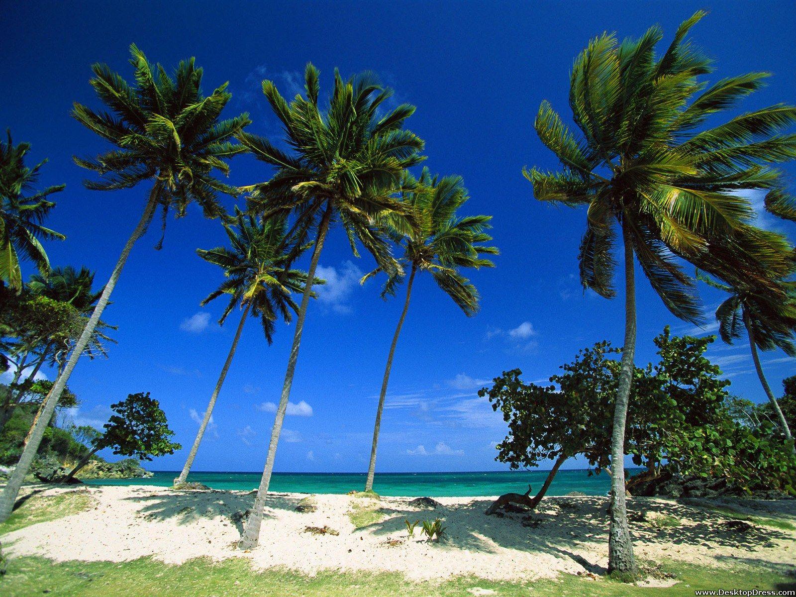 Desktop Wallpapers » Natural Backgrounds » Bacardi Beach, Cayo