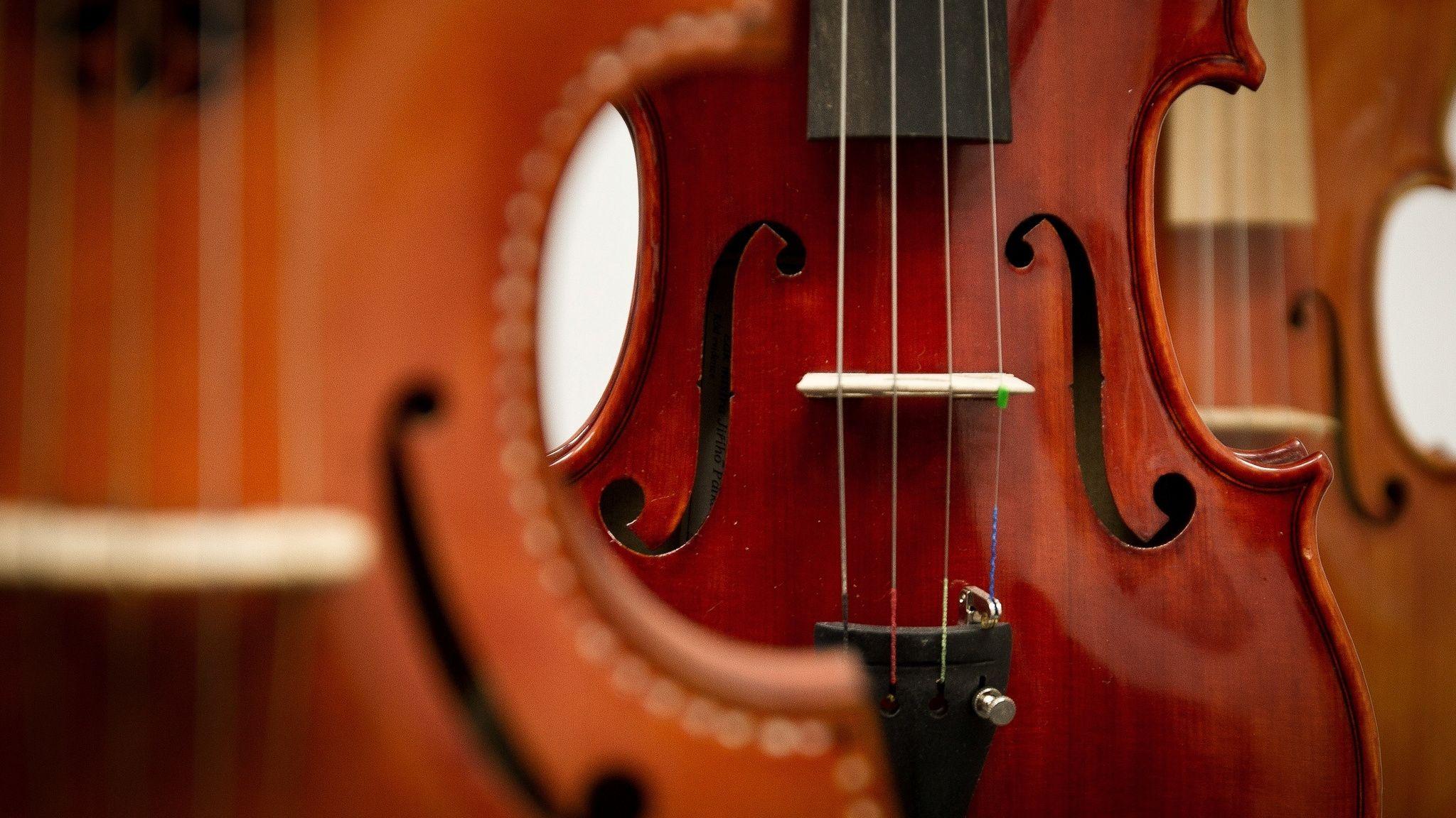 Download Image Bowed String Instrument, Bass Violin