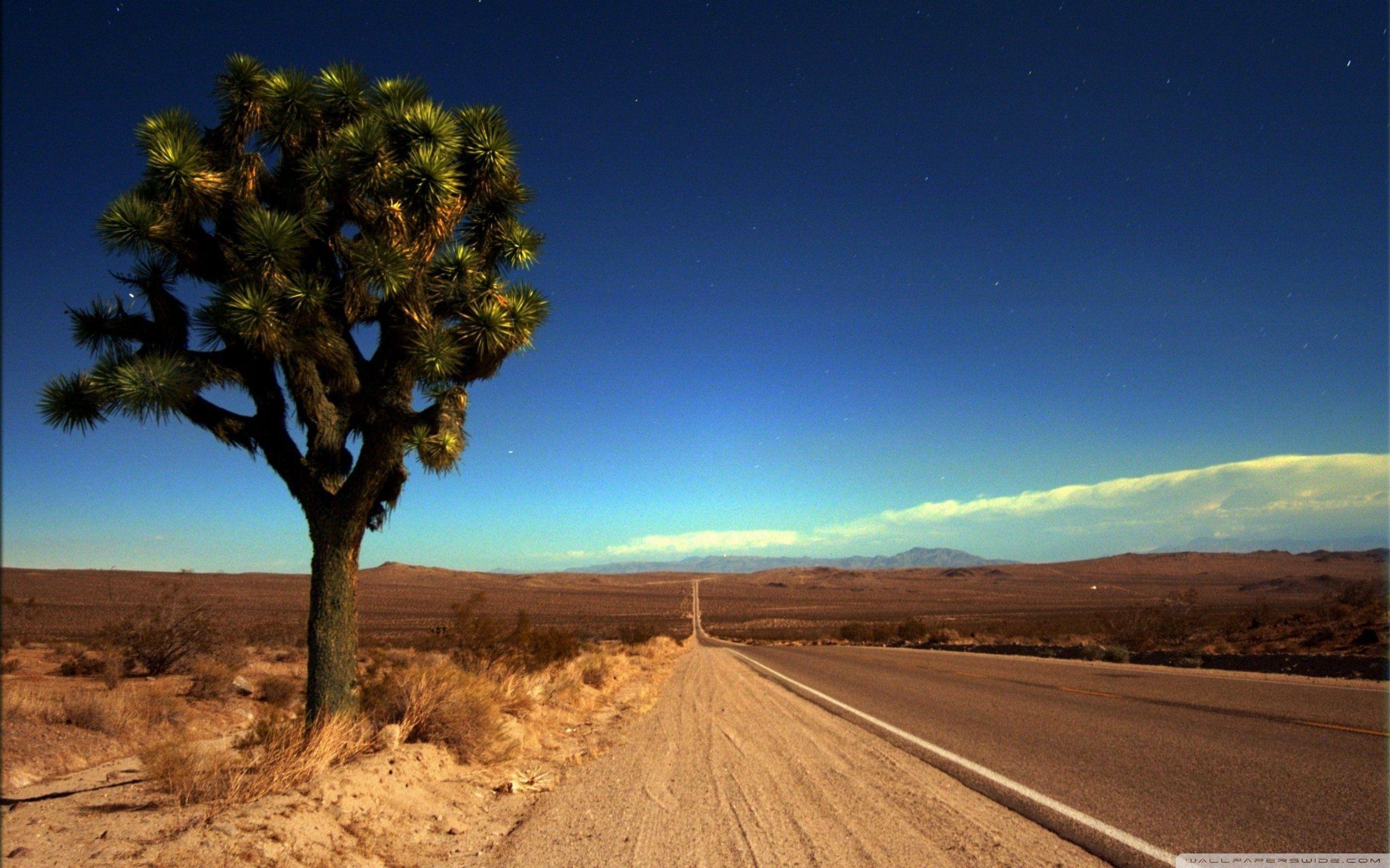 Joshua Tree National Park