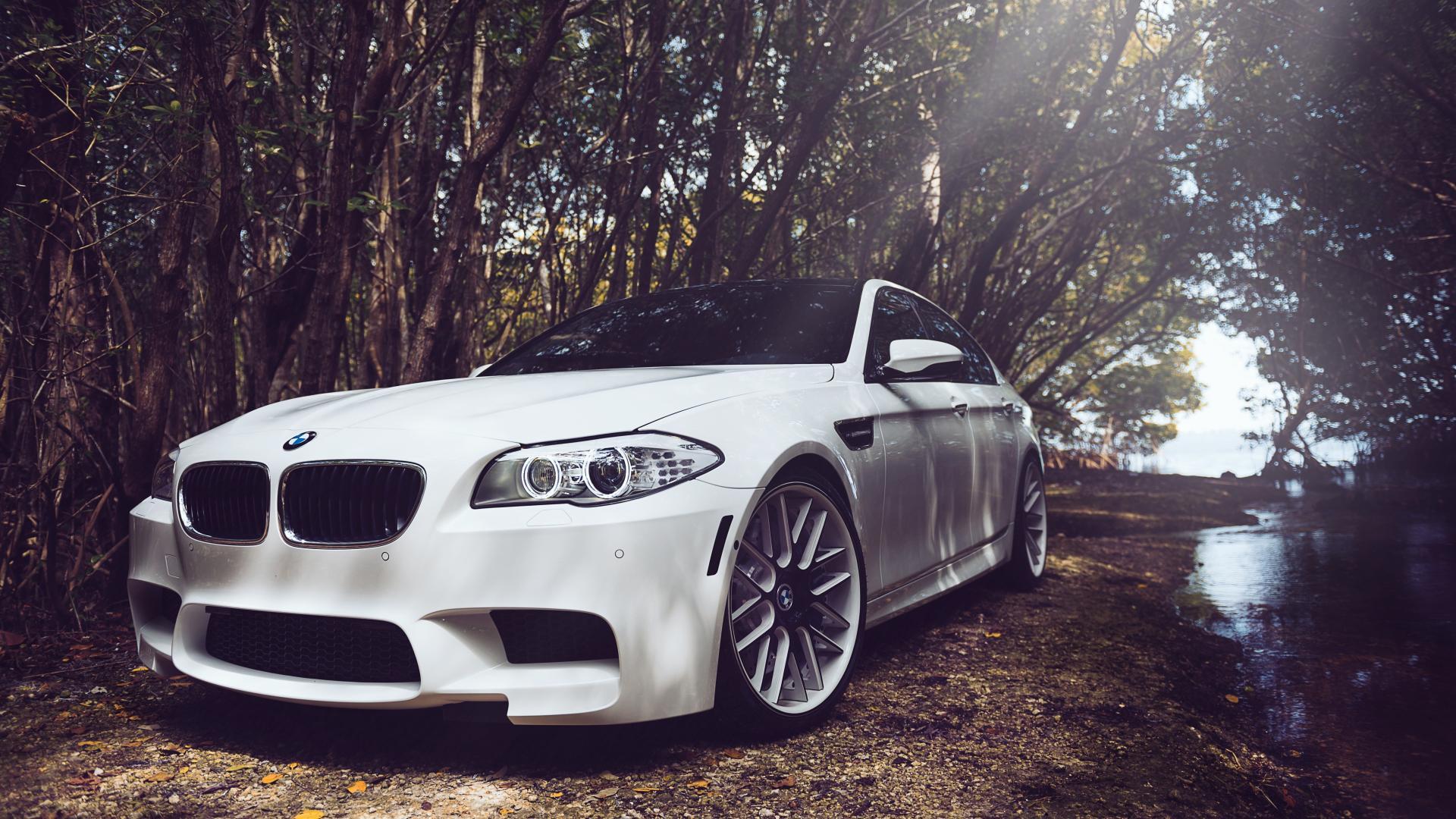 Bmw m5 f10 white wallpapers