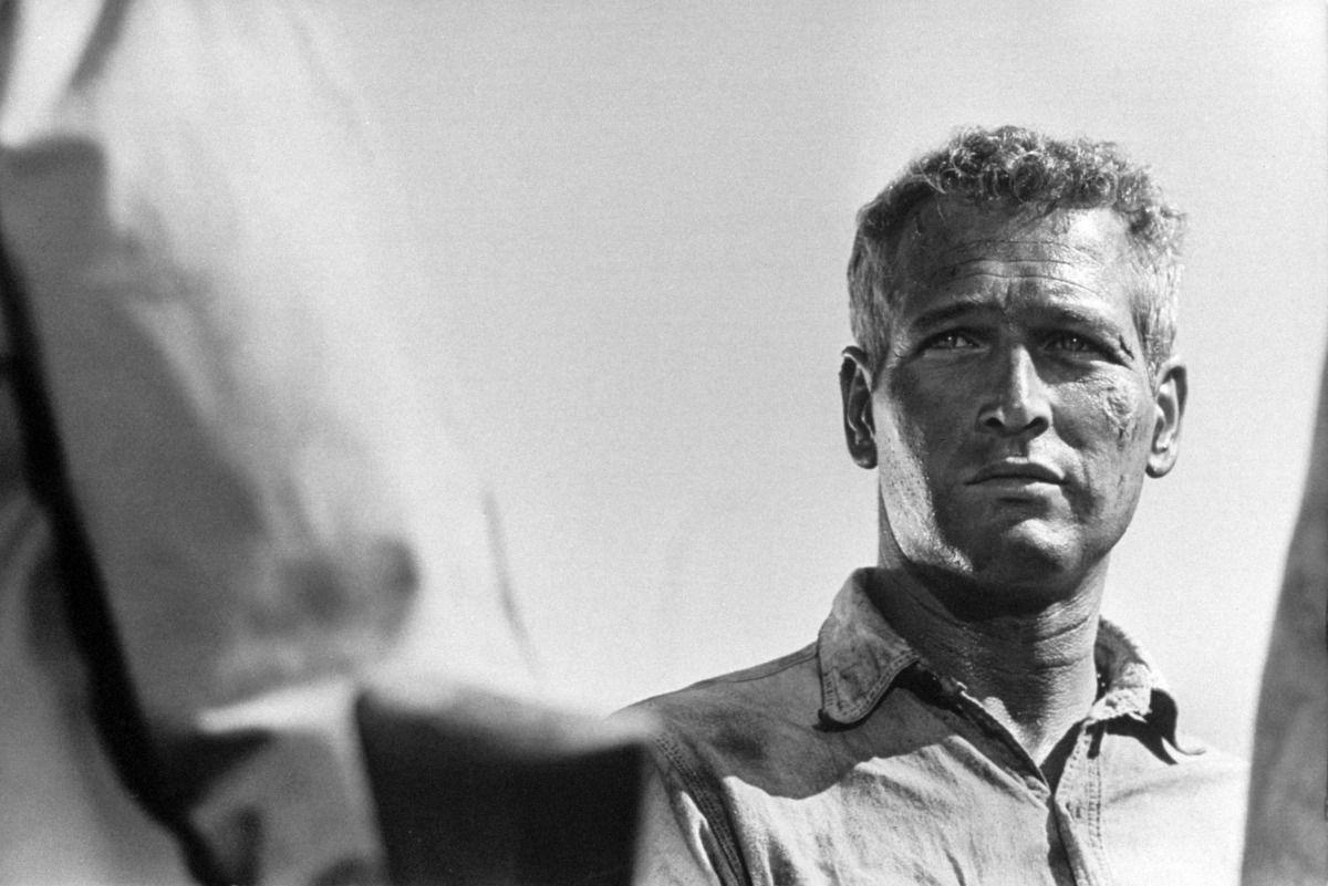 Cool Hand Luke Movie Wallpapers