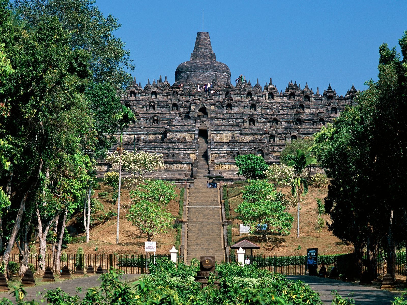 Borobudur Temple Indonesia Tourism Picture 535 Wallpapers