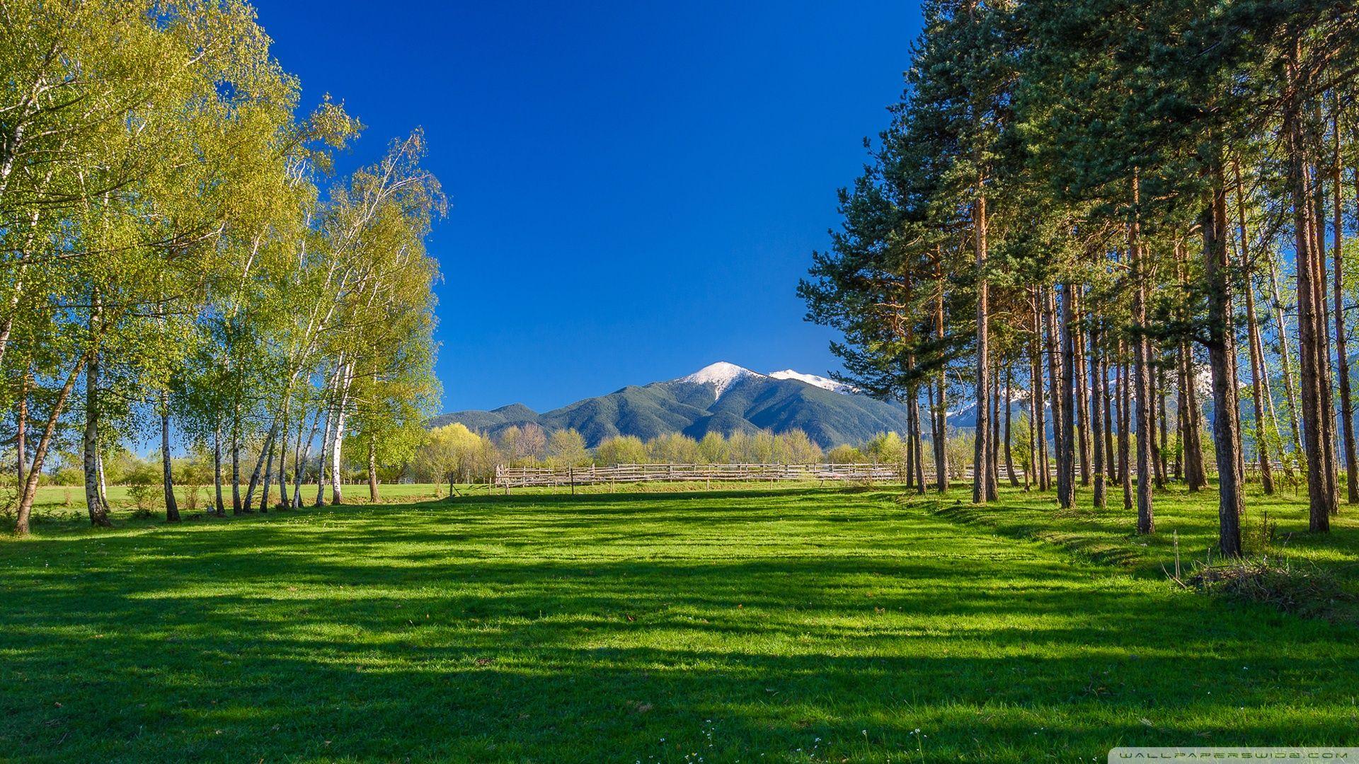 One sunny day in Bulgaria ❤ 4K HD Desktop Wallpapers for 4K Ultra