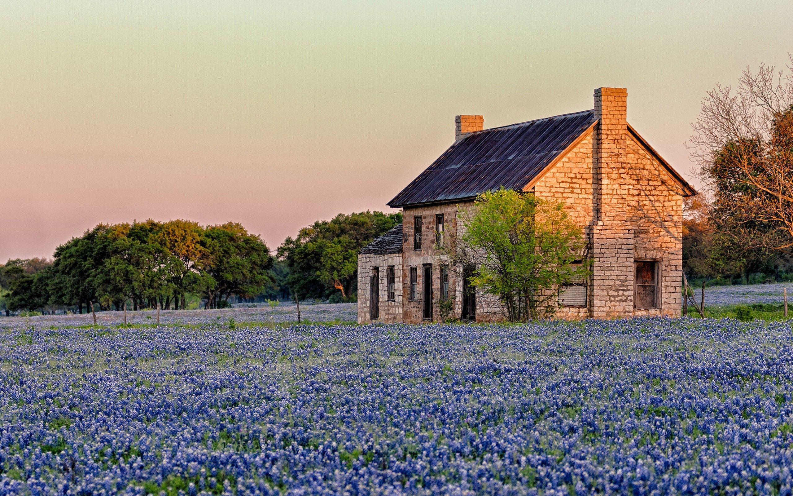 Free Texas Screensavers and Wallpapers