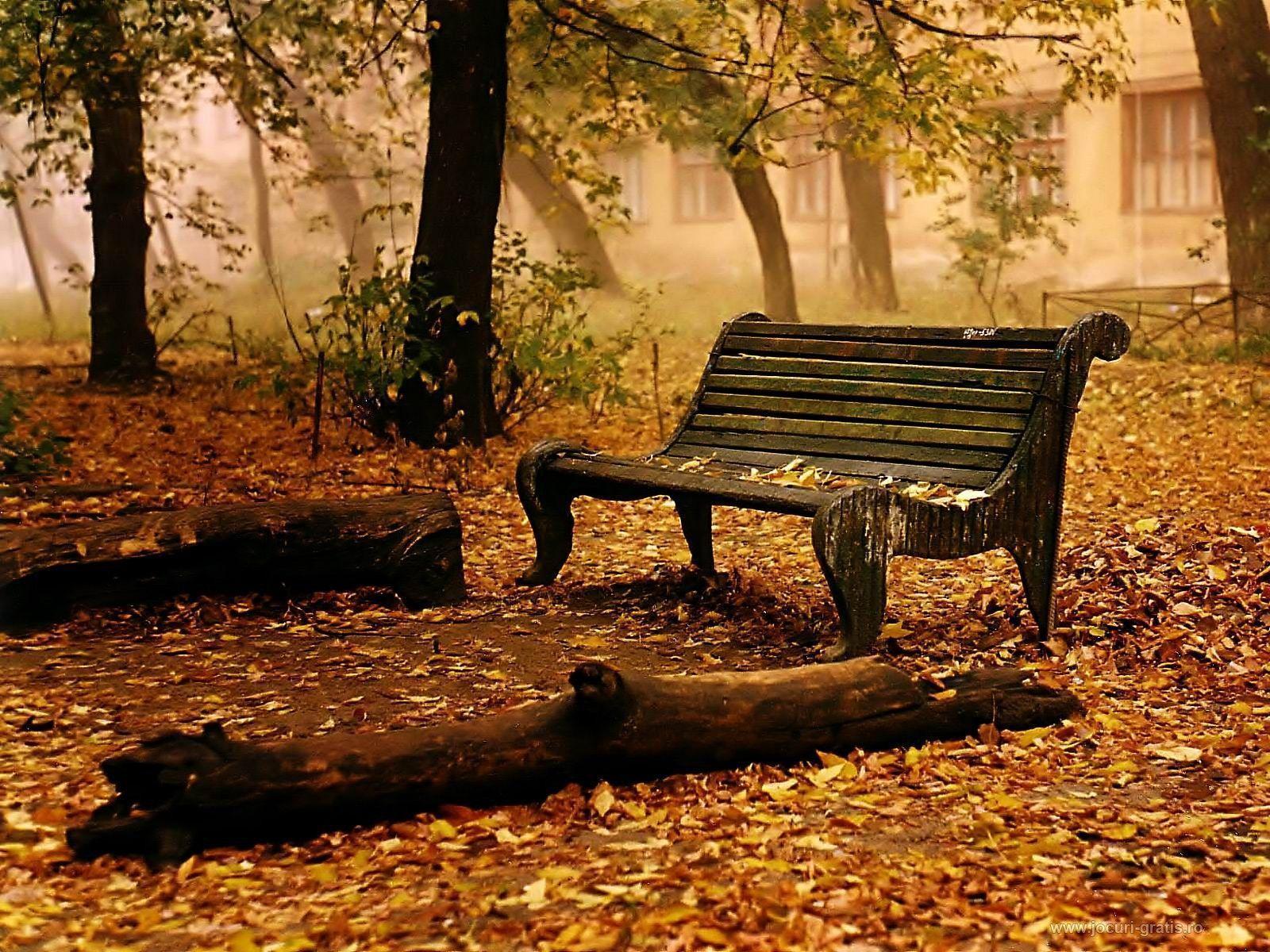 Fall Desktop Wallpaper, wallpaper, Fall Desktop Wallpapers hd