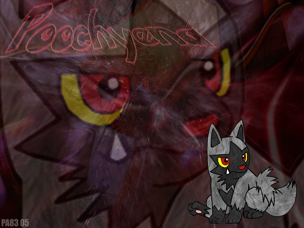 Poochyena Wallpapers