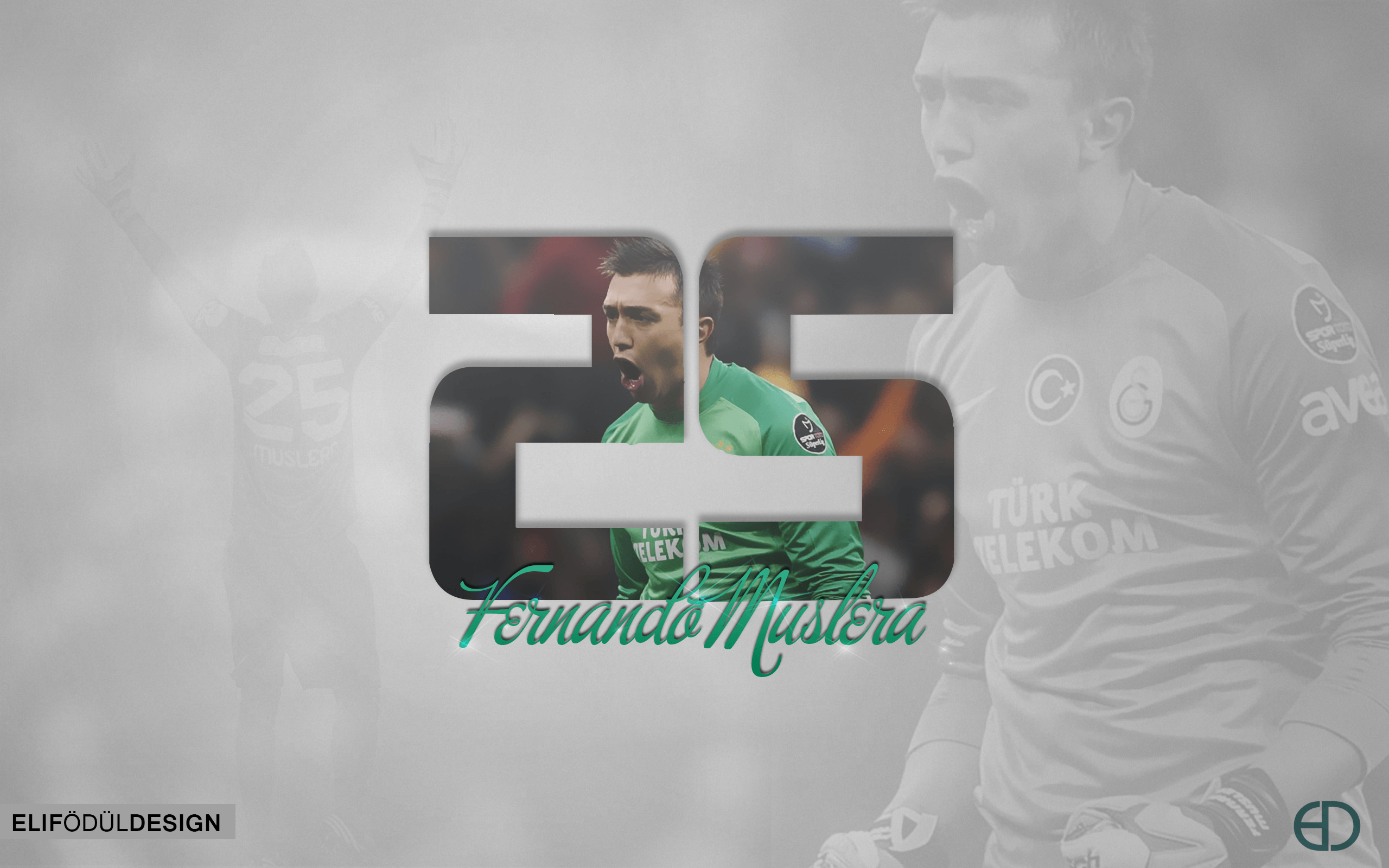 Fernando Muslera Wallpapers by elifodul