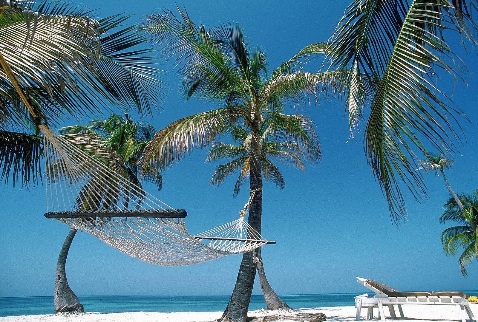Haiti Tag wallpapers: Hiati Haiti Palm Beach Hammock Relaxing Tree
