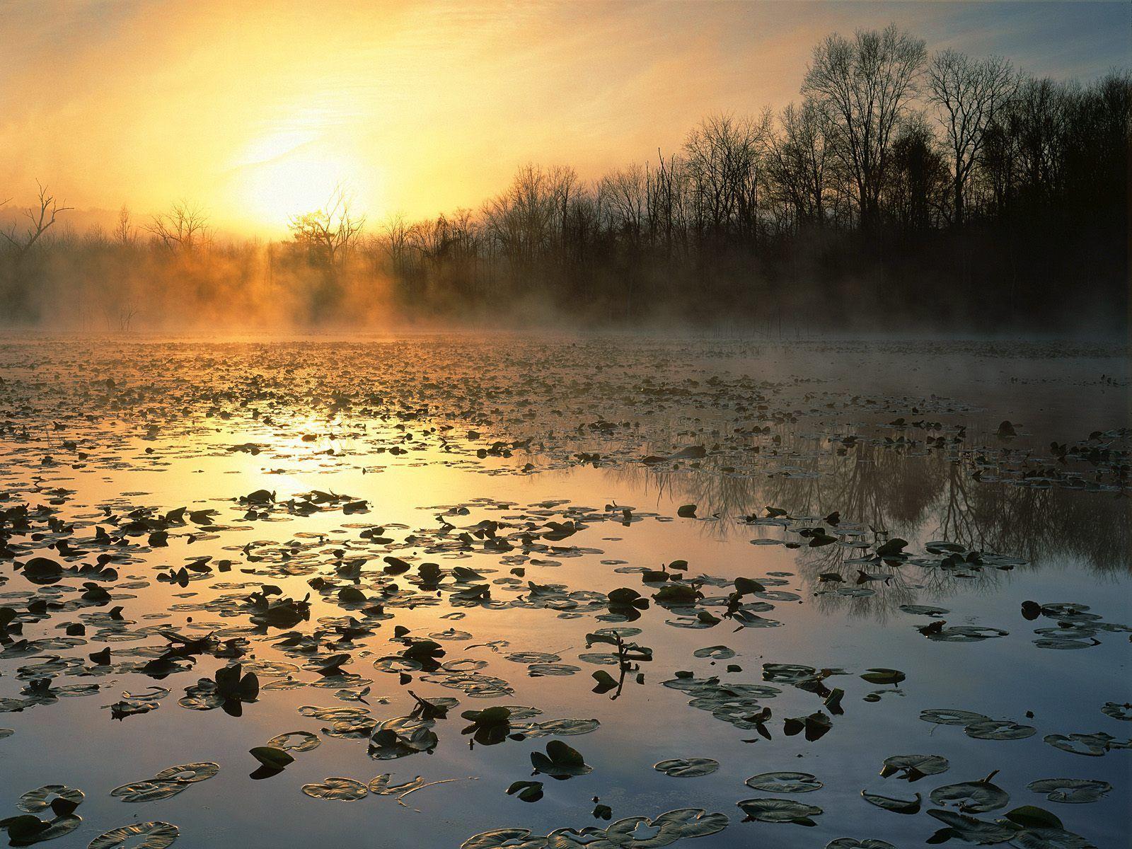 Nature: Cuyahoga Valley National Recreation Area At Sunrise, Ohio