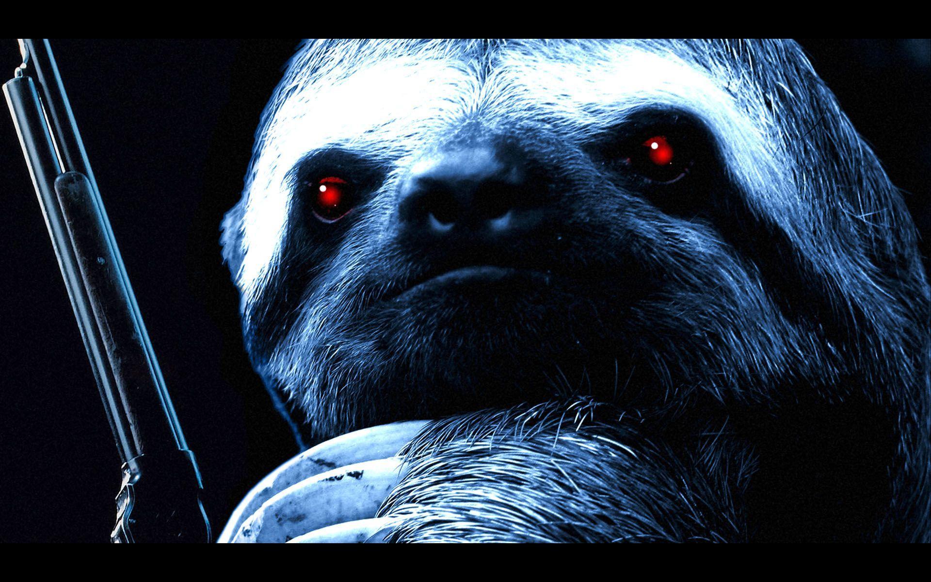 Sloth Wallpapers