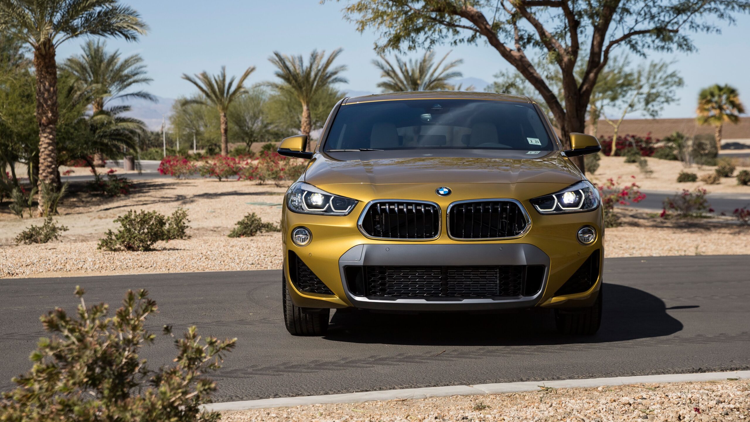 2019 BMW X2 xDrive28i M Sport X 4K Wallpapers