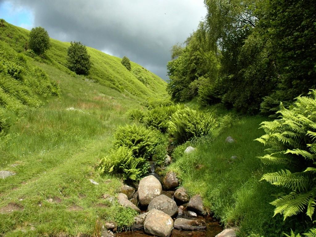 Caledonia Tag wallpapers: Stream Grass Green Rock Sky Cloudy