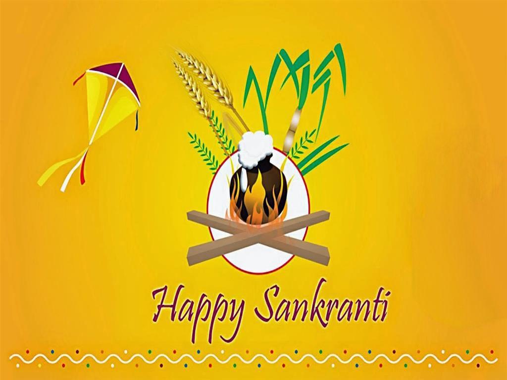 Happy Makar Sankranti Wallpapers Image Free Download