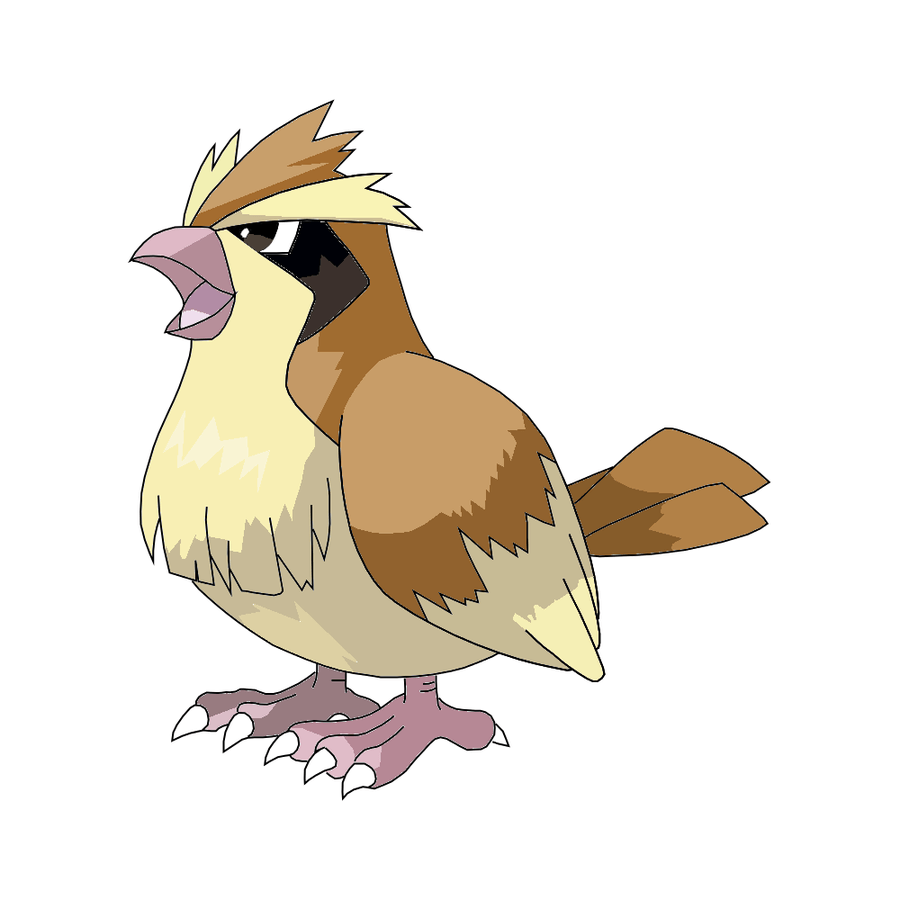 Pidgey,