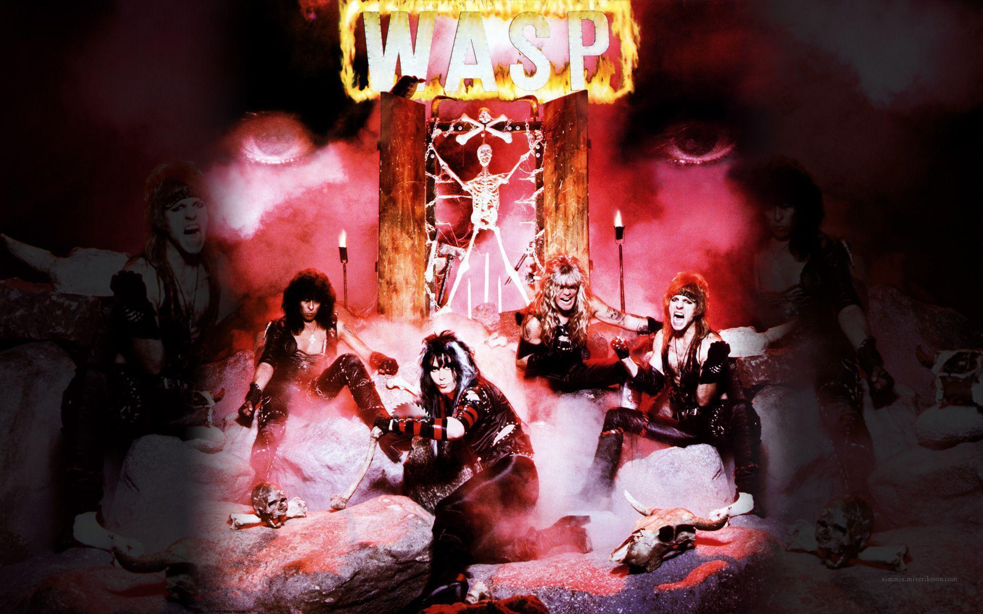 Wasp Wallpapers