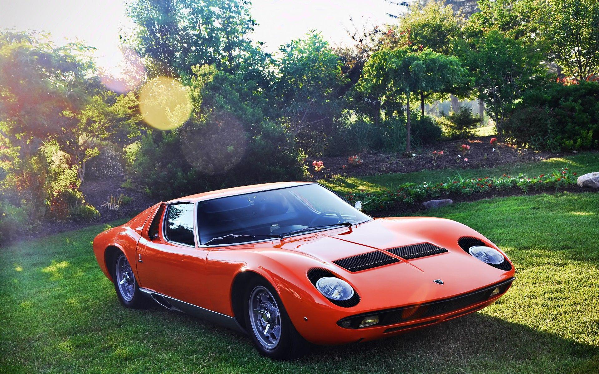 cars, garden, Lamborghini, sunlight, Lamborghini Miura :: Wallpapers