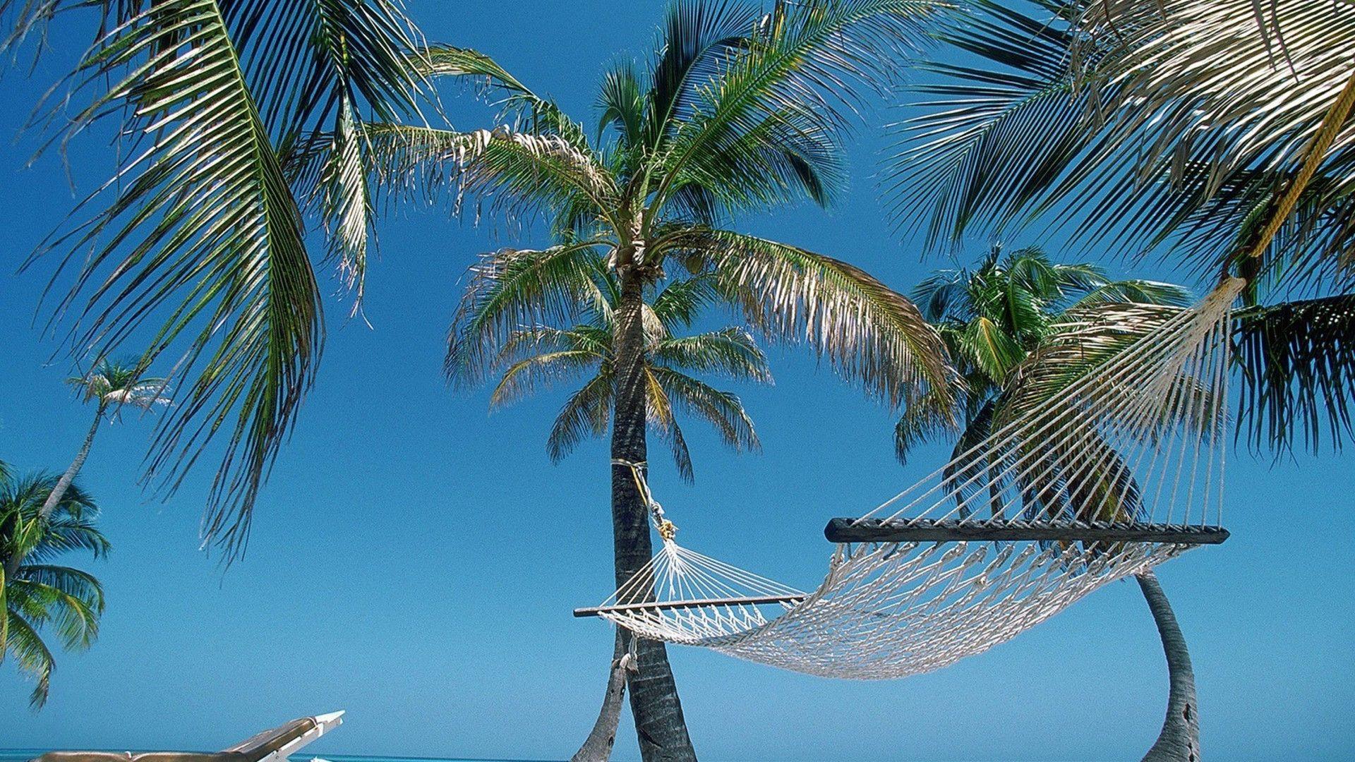 Nature beach hammock palm trees belize wallpapers