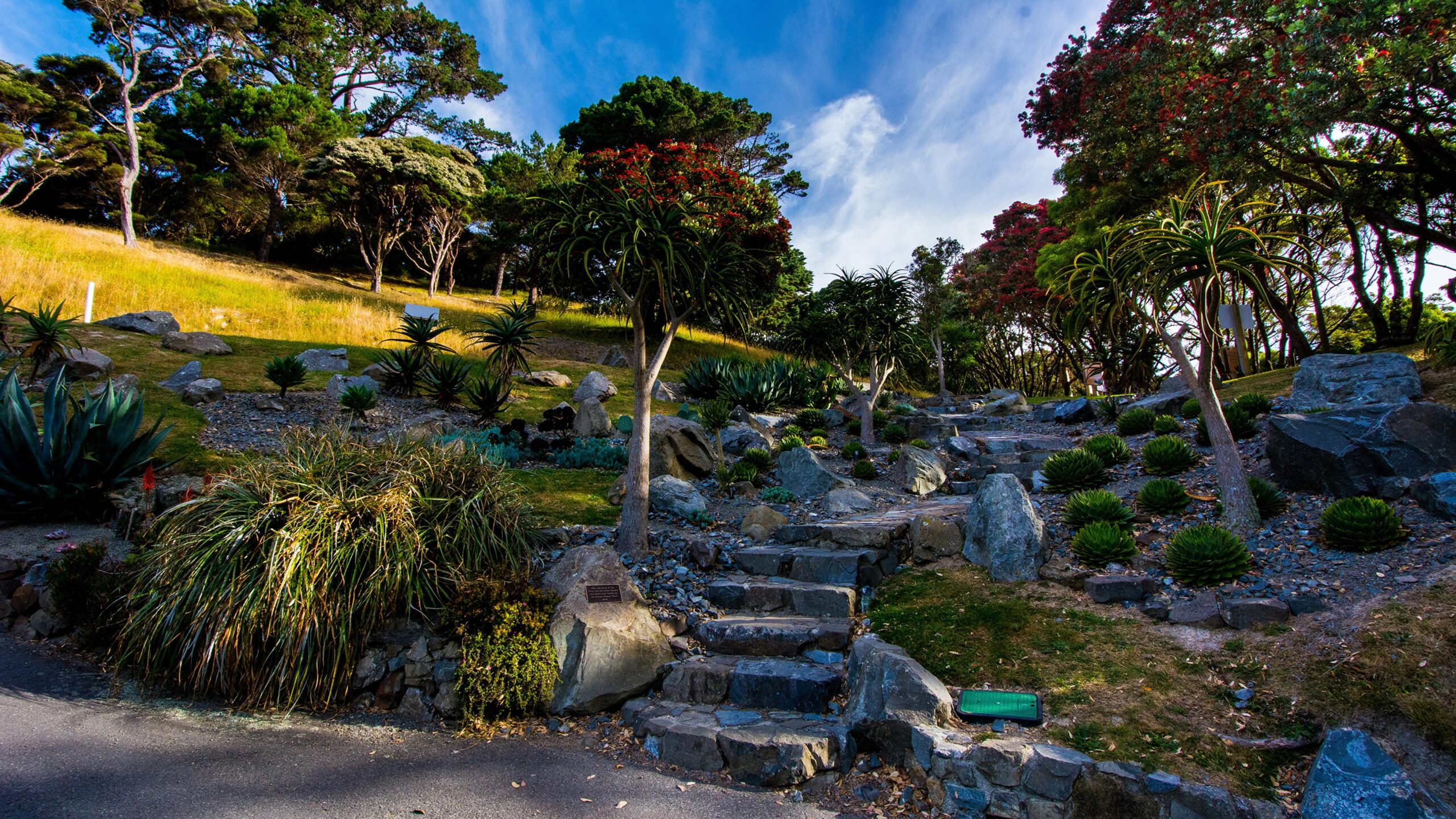 Image New Zealand Wellington Botanical garden Nature