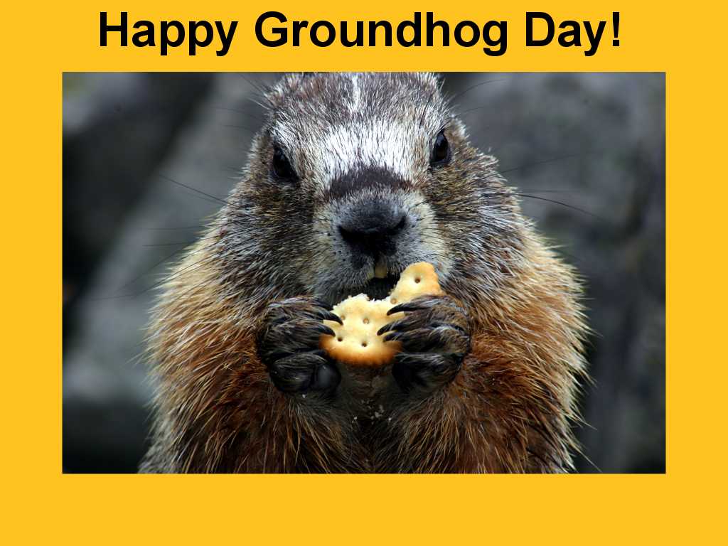 Groundhog Day Wallpapers