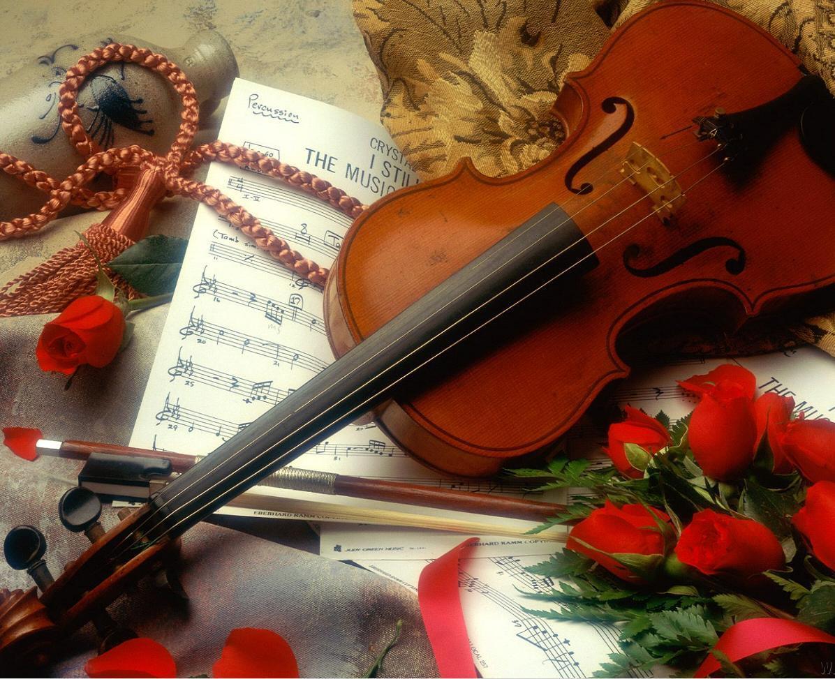 Violin Wallpapers and Pictures