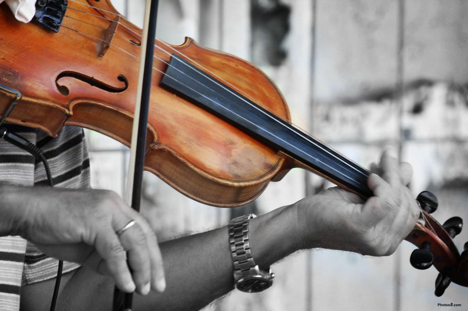 Free Wallpapers: Violin wallpapers