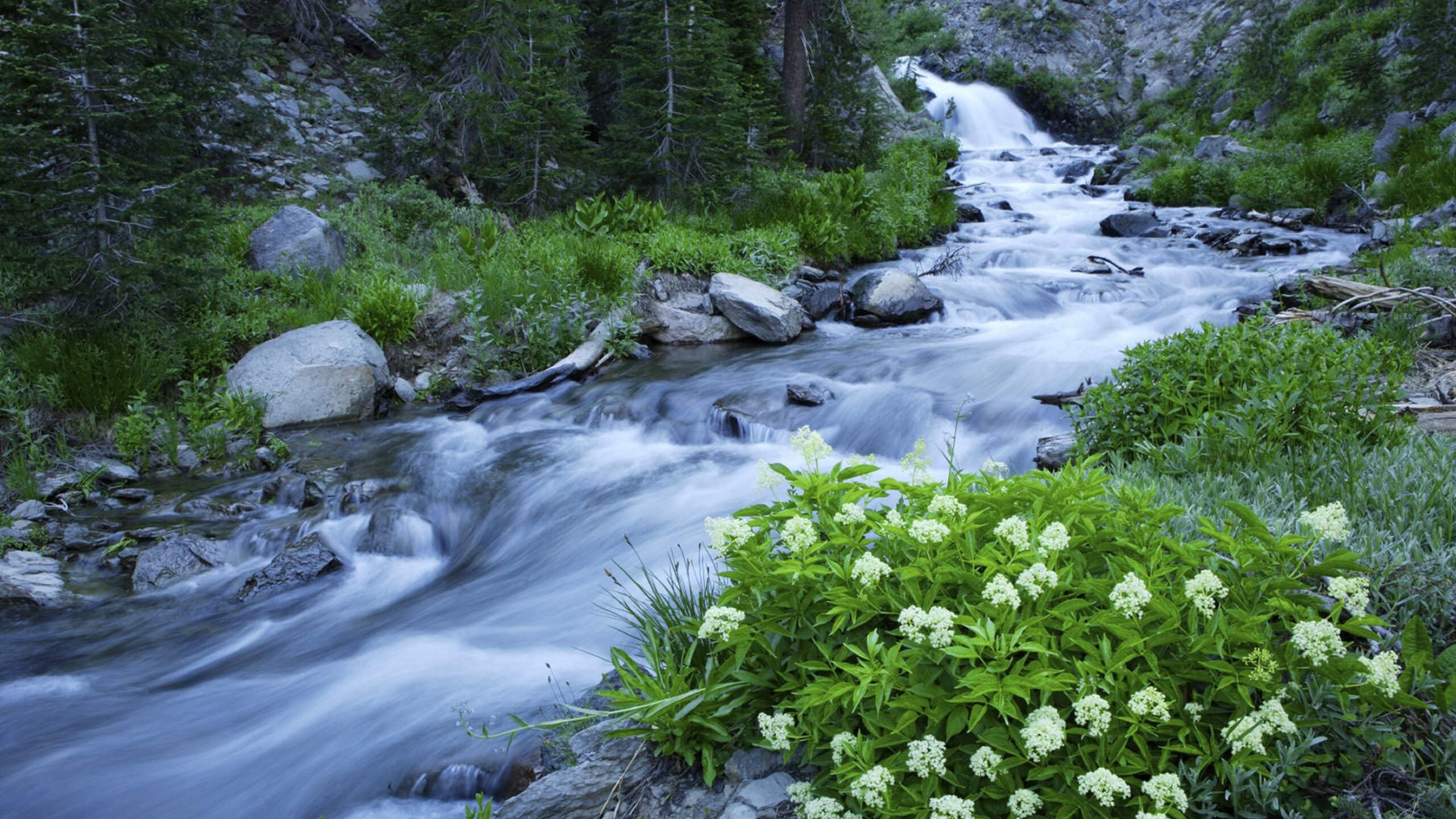 Lassen Volcanic National Park