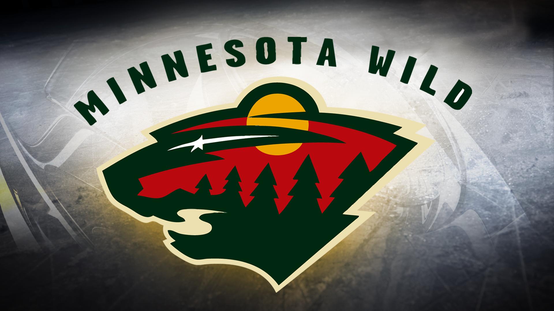 Minnesota Wild Hockey Car Tuning