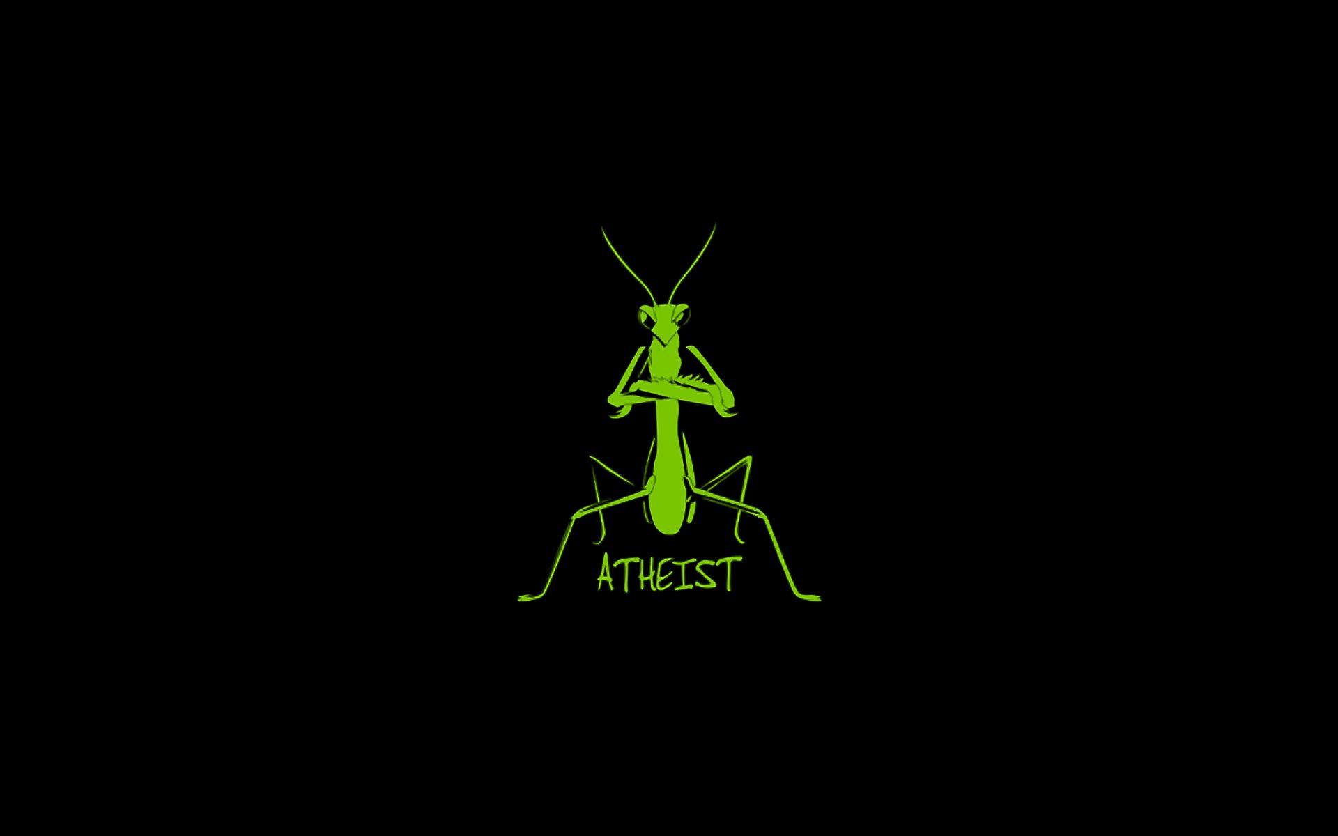 Praying Mantis Wallpapers