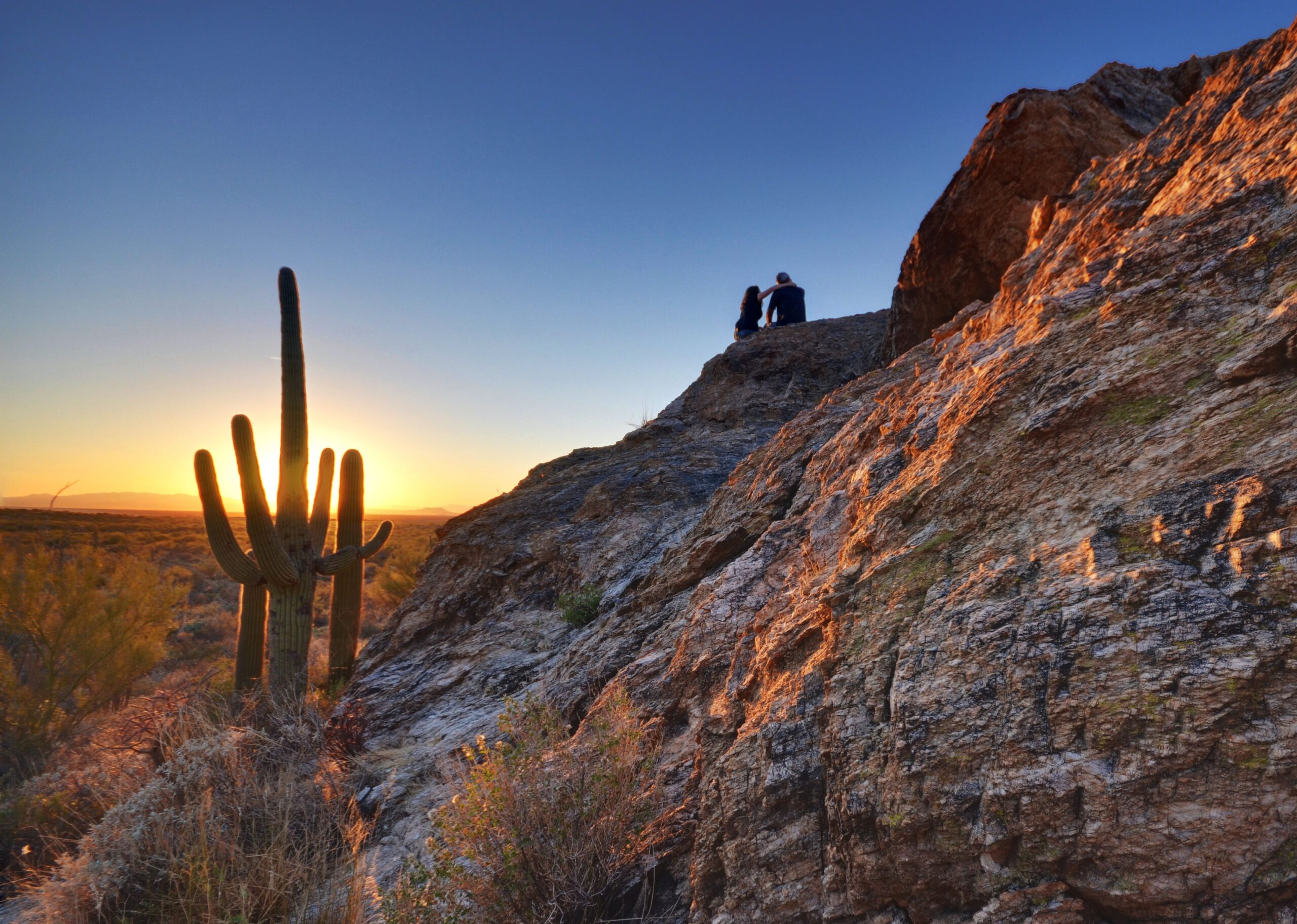 Saguaro National Park