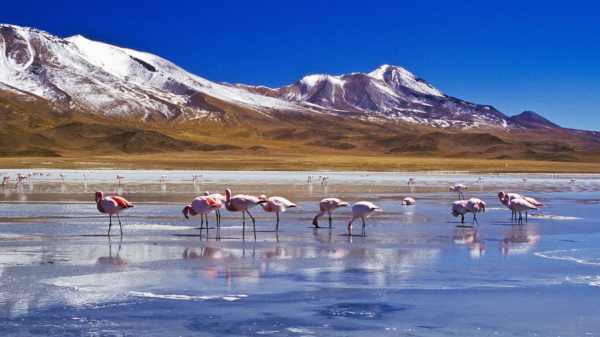 The Salar de Uyuni salt flats in Bolivia HD Wallpapers