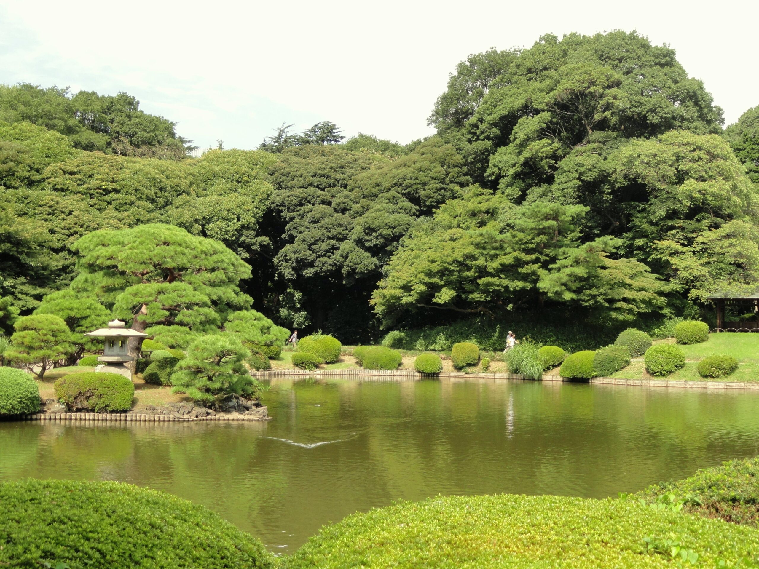 File:Shinjuku Gyoen National Garden