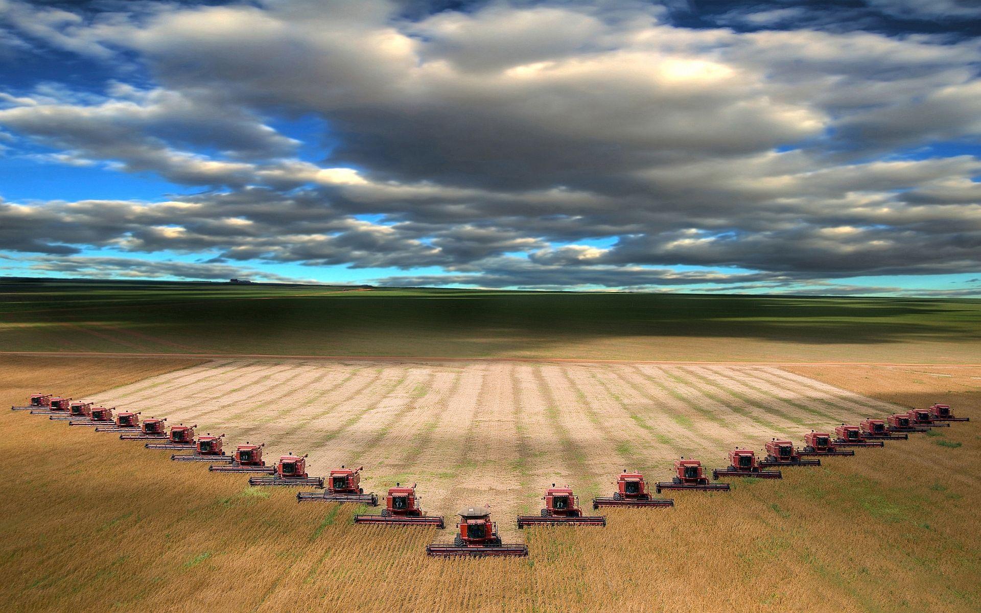 Combines harvesting wheat in I believe North Dakota.