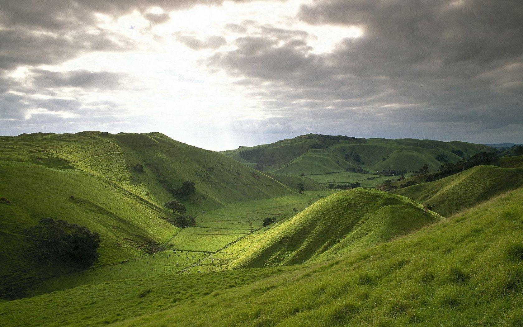 New Zealand Rolling Hills Wallpaper, iPhone Wallpaper, Facebook