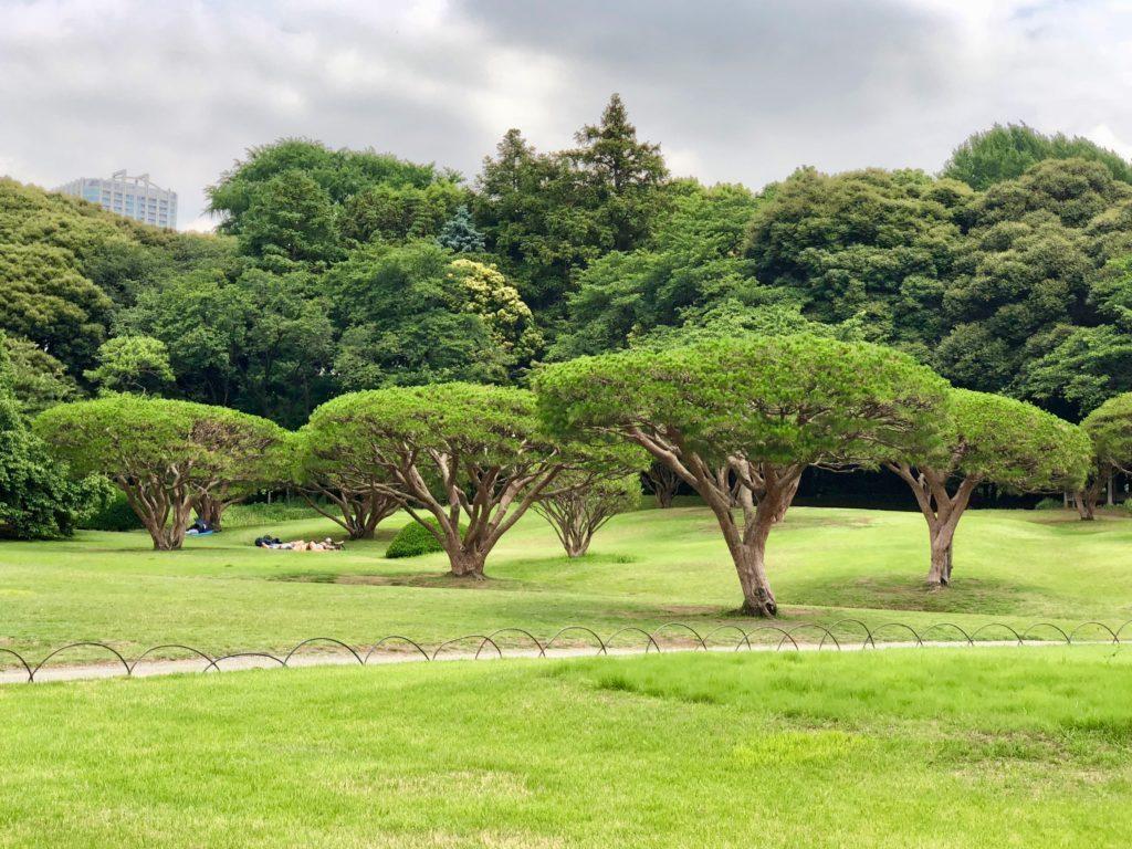 Shinjuku Gyoen on a Weekday