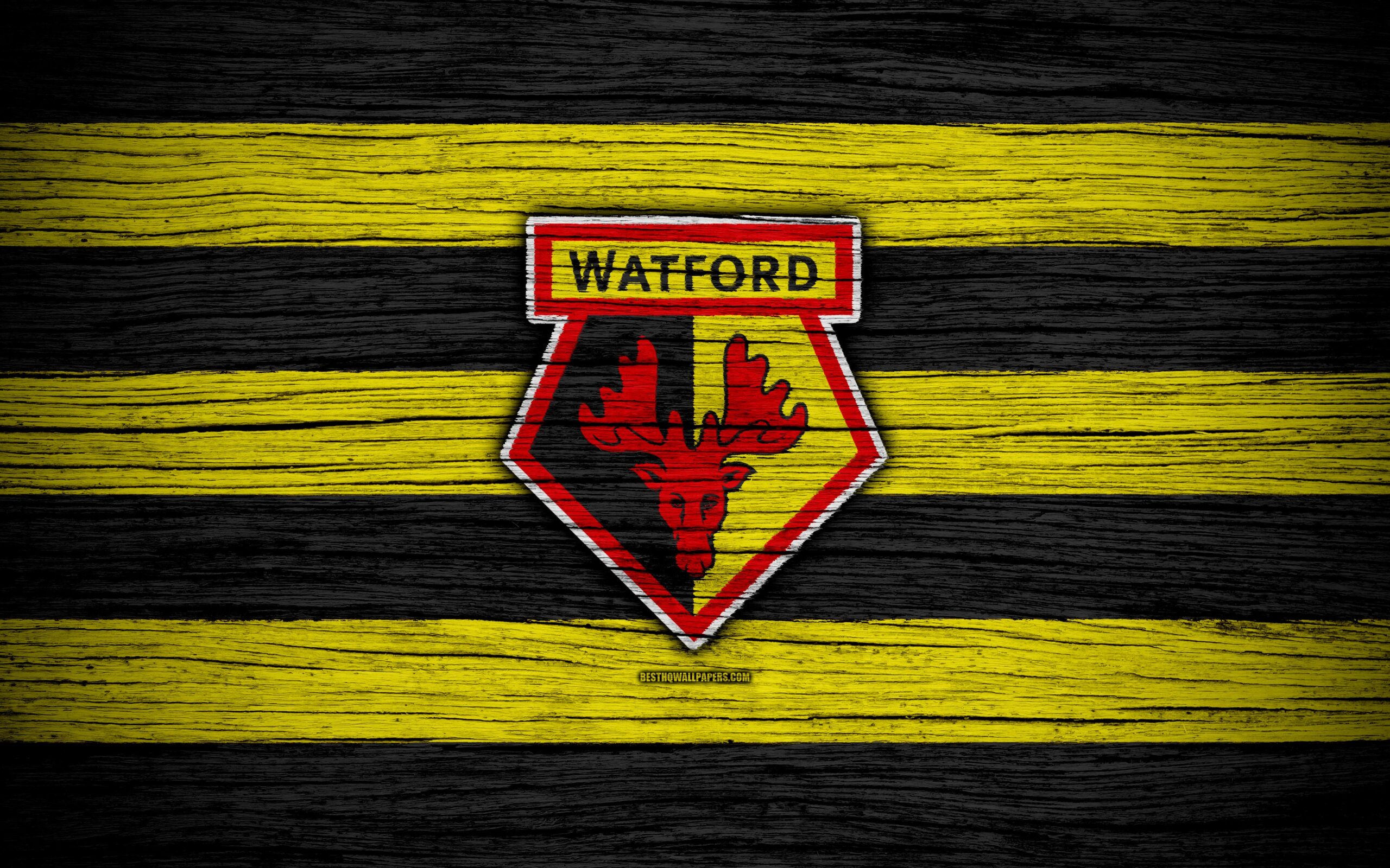 Download wallpapers Watford, 4k, Premier League, logo, England