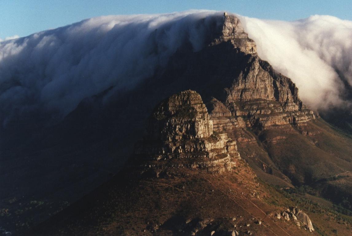 Kevin&page lions head tablecloth tm aerial