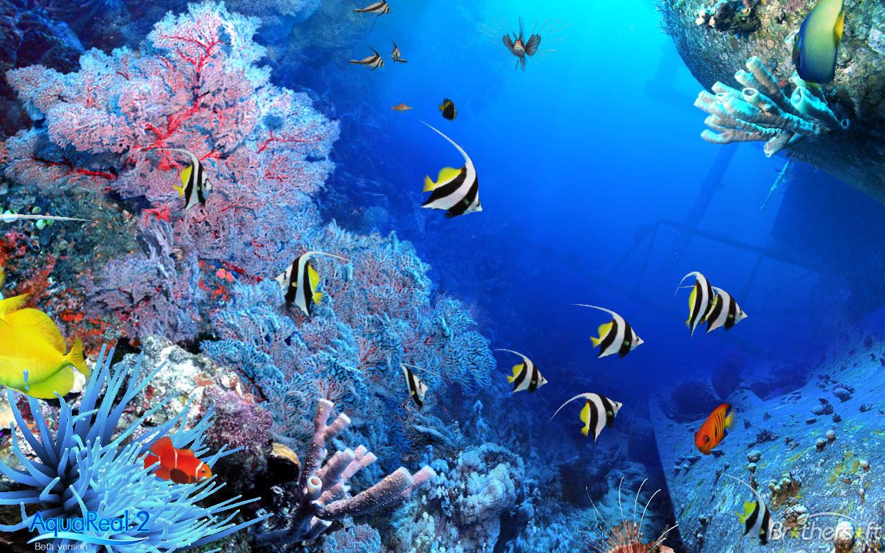 Aquarium Desktop Wallpapers Luxury Free Wallpapers Aquarium Wallpapers