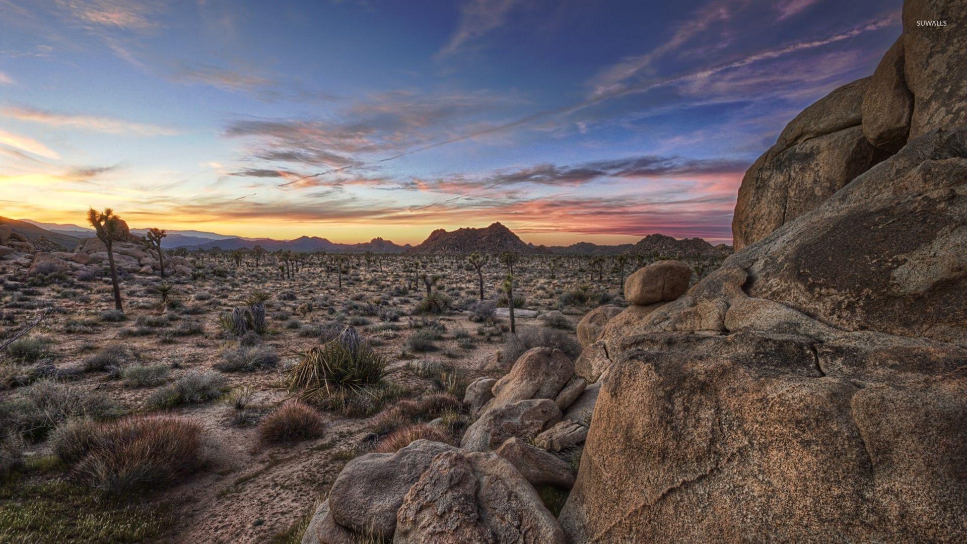 Joshua Tree National Park [7] wallpapers