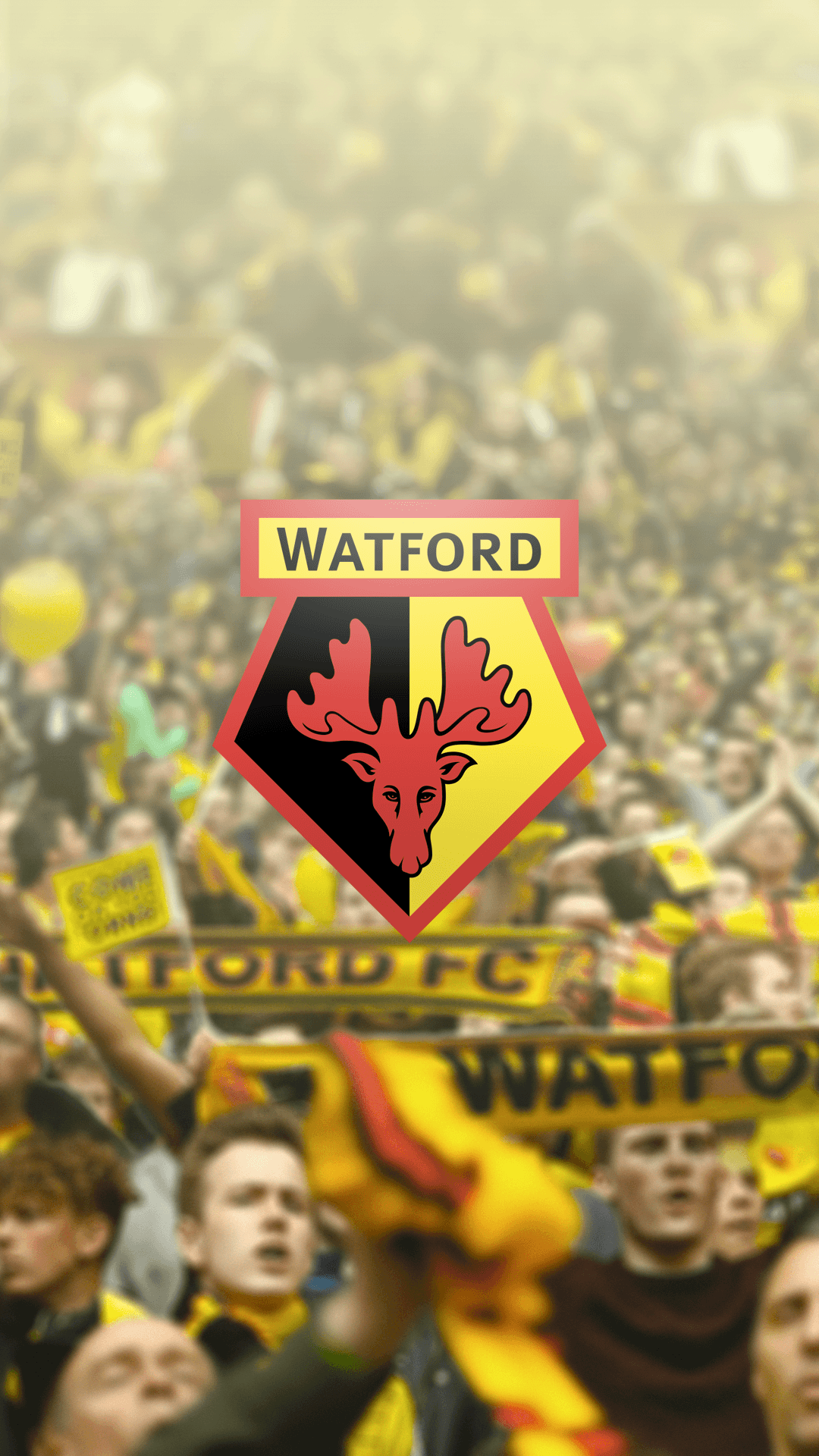 WatfordFC on Behance