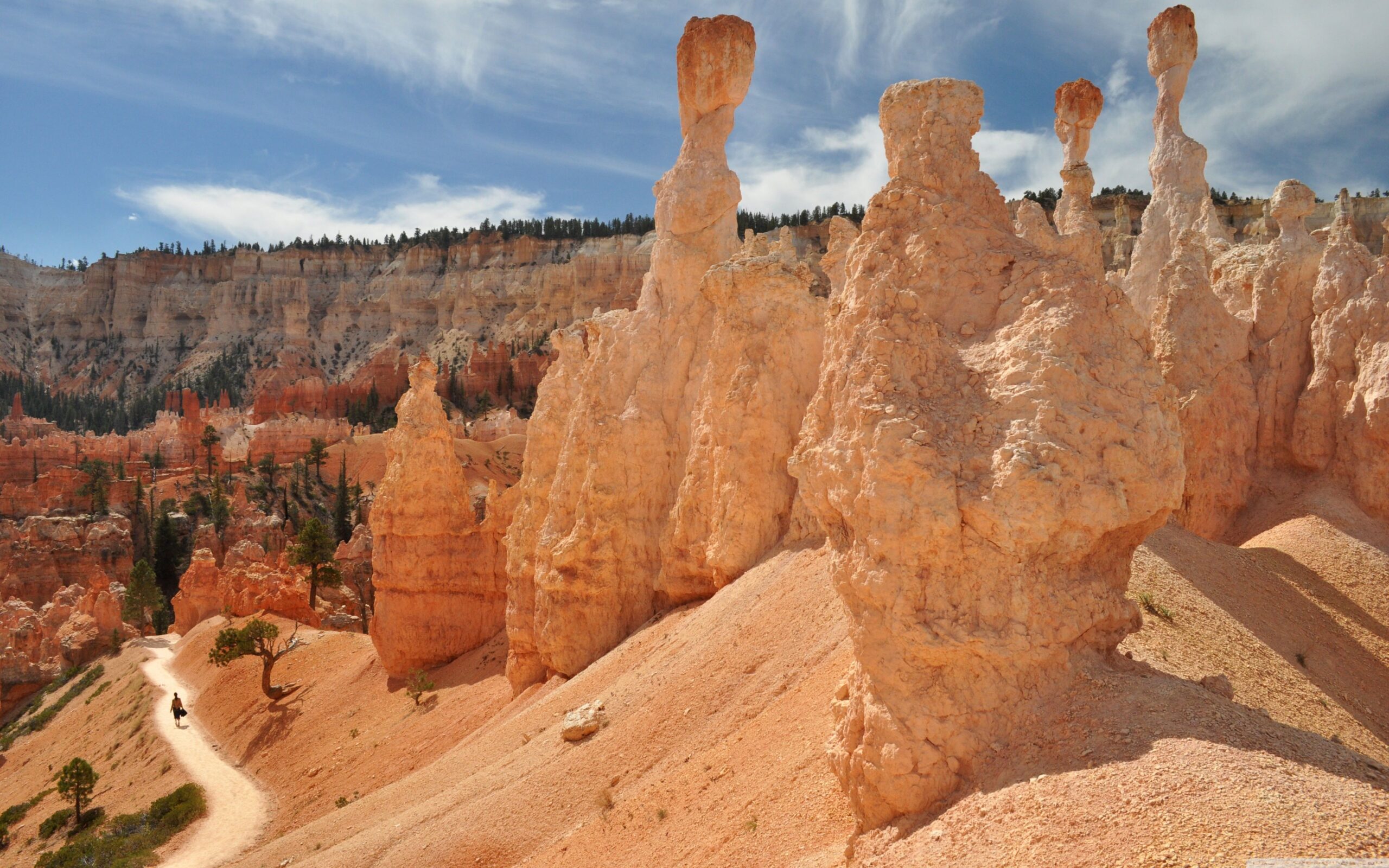 Hoodoos In Bryce Canyon National Park, Utah ❤ 4K HD Desktop