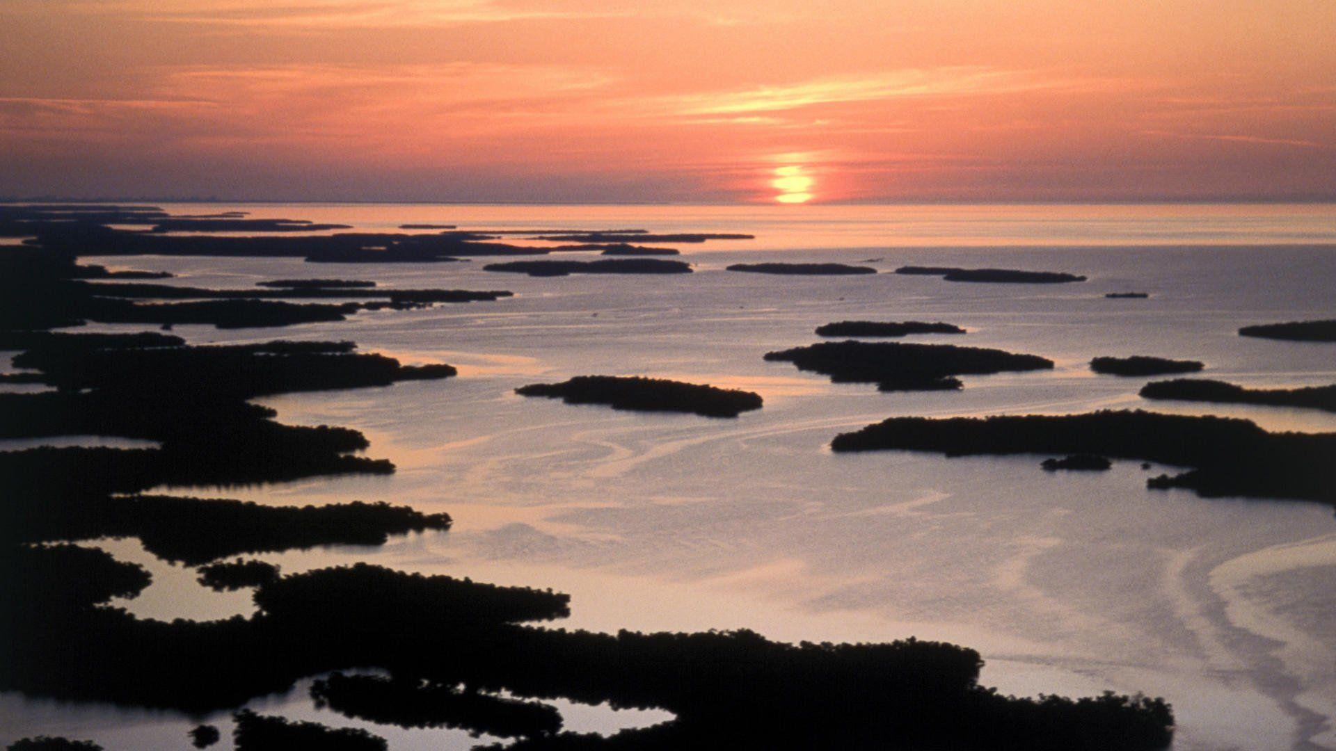 Everglades National Park 162519