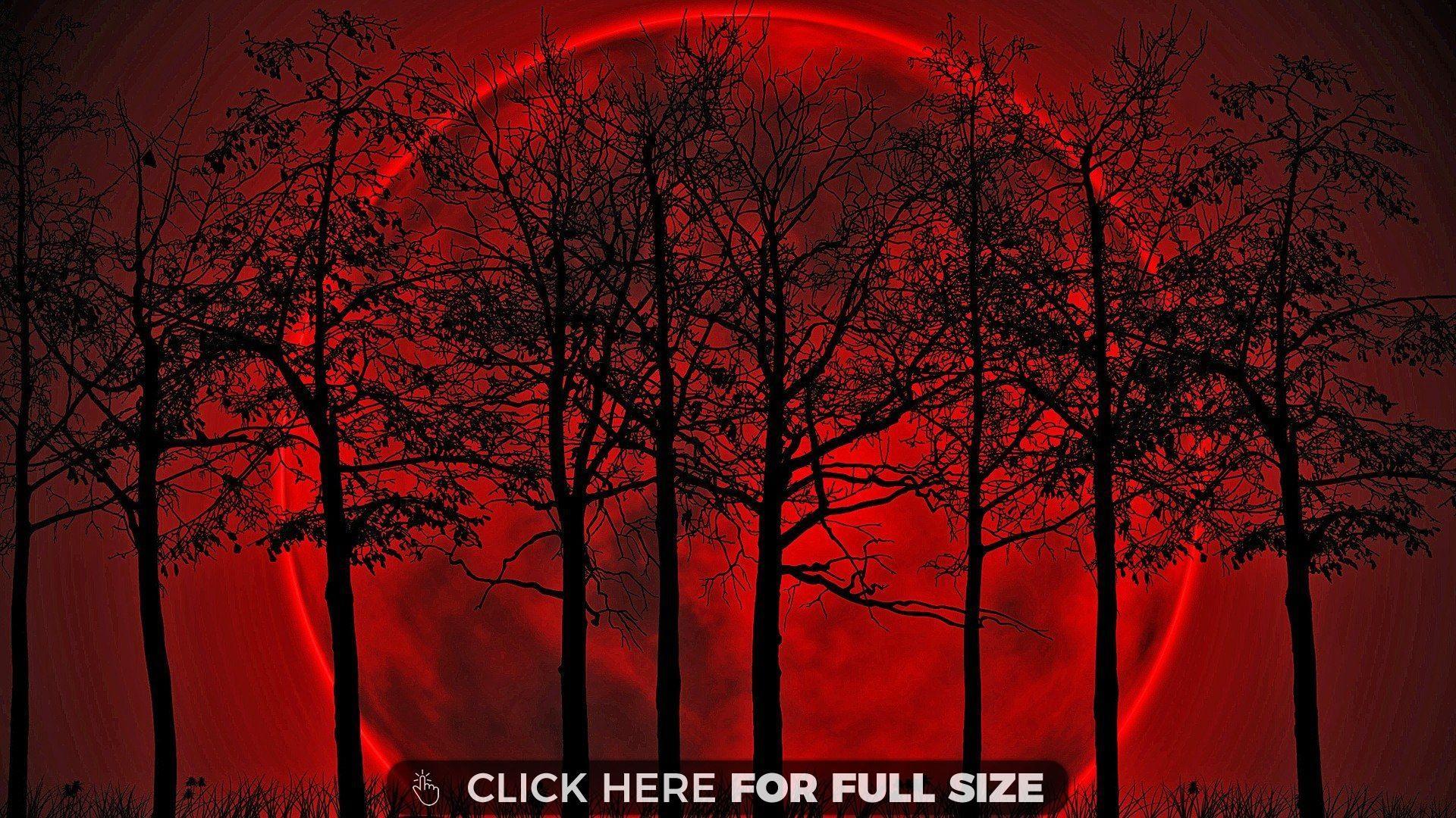 Red Blood Moon HD wallpapers